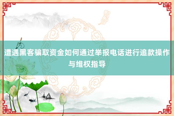 遭遇黑客骗取资金如何通过举报电话进行追款操作与维权指导